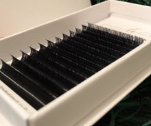 Load image into Gallery viewer, Luxury Collection DD Curl Lashes